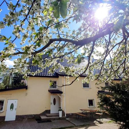 Gosciniec Jas -Sniadania I Obiadokolacje Szwedzki Stol W Cenie Bezplatny Parking Szklarska Poreba Exterior photo