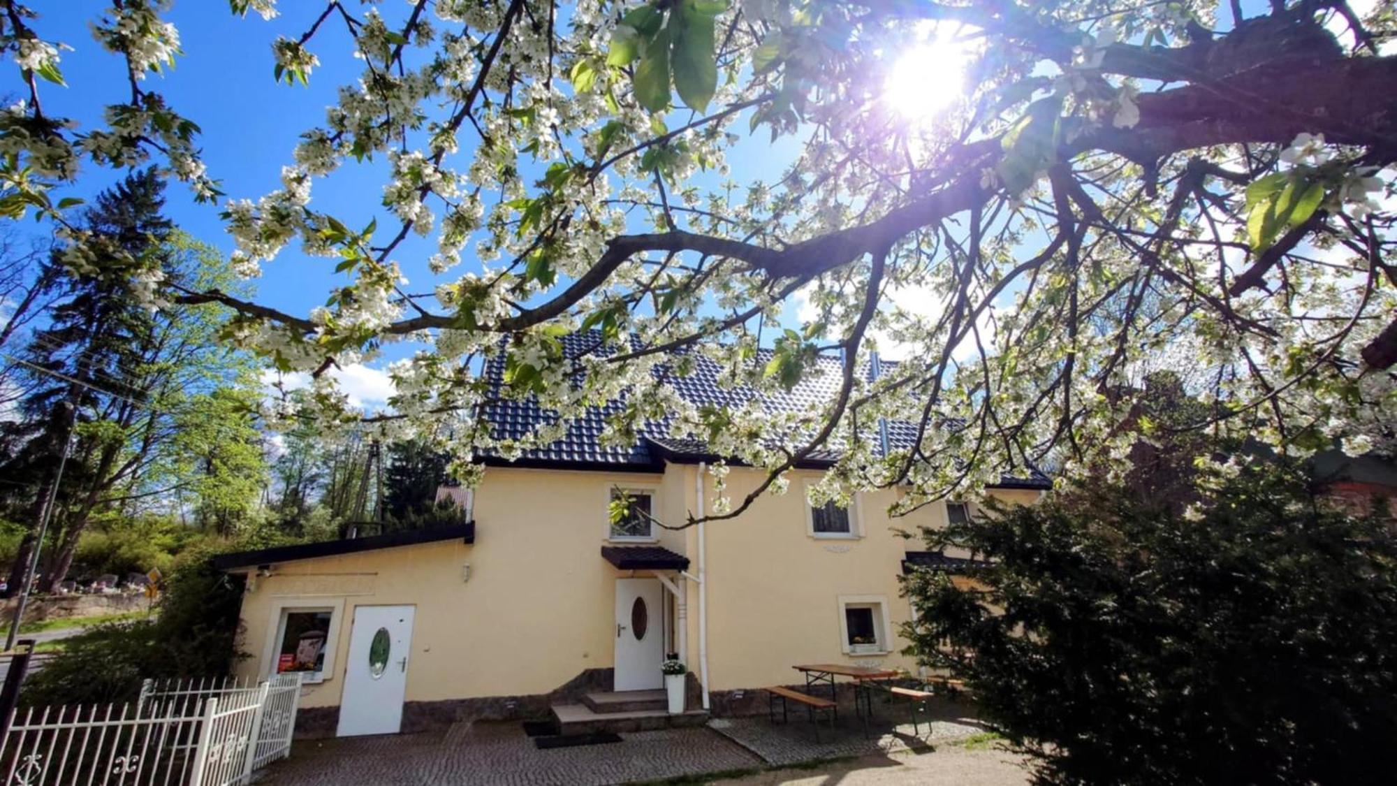 Gosciniec Jas -Sniadania I Obiadokolacje Szwedzki Stol W Cenie Bezplatny Parking Szklarska Poreba Exterior photo